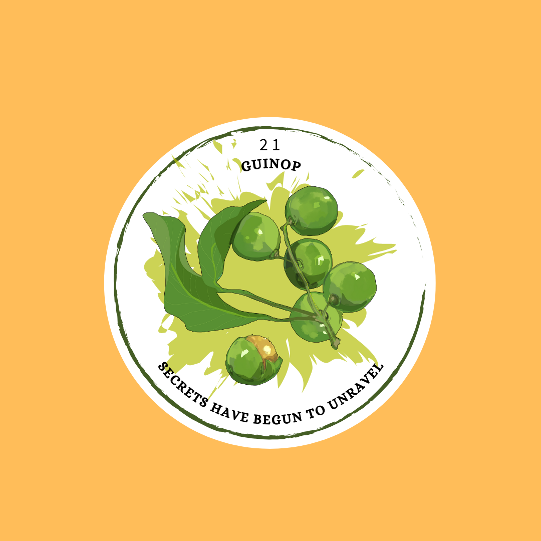 Lily of the Garden V2 : Sprout Anew Edition (Soon)