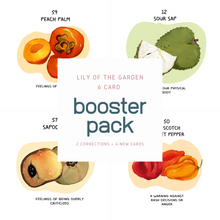 Load image into Gallery viewer, Lily of the Garden: Booster Pack
